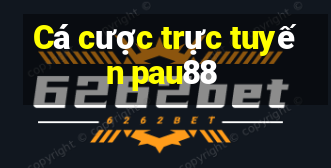 Cá cược trực tuyến pau88