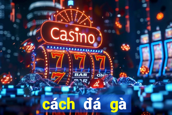 cách đá gà trên mạng