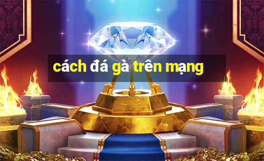 cách đá gà trên mạng