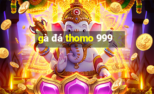 gà đá thomo 999