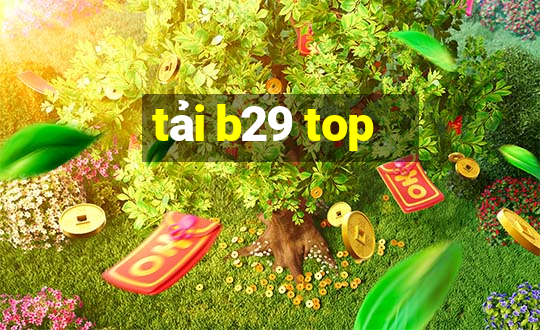 tải b29 top