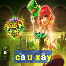 cầu xây