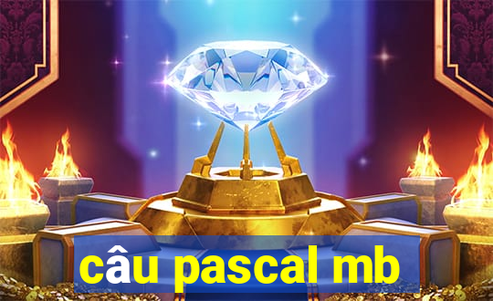 câu pascal mb