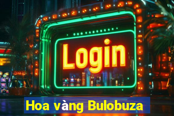 Hoa vàng Bulobuza