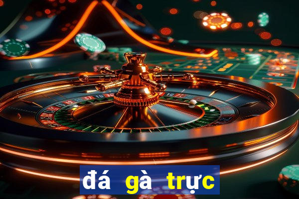 đá gà trực tiếp 388