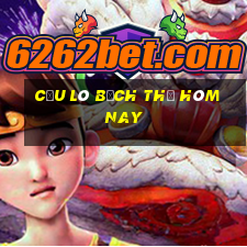 cầu lô bạch thủ hôm nay