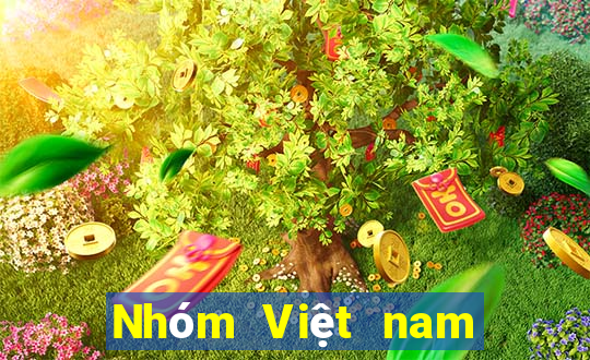 Nhóm Việt nam hội chợ điện tử