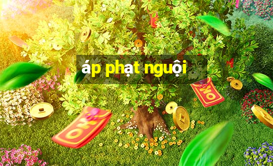 áp phạt nguội