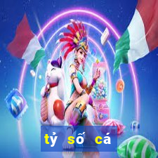 tỷ số cá cược world cup