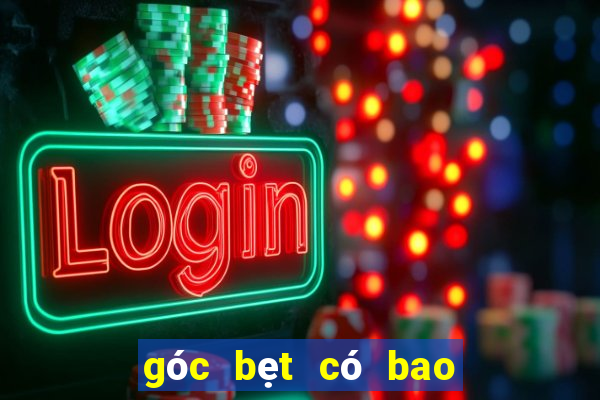 góc bẹt có bao nhiêu độ