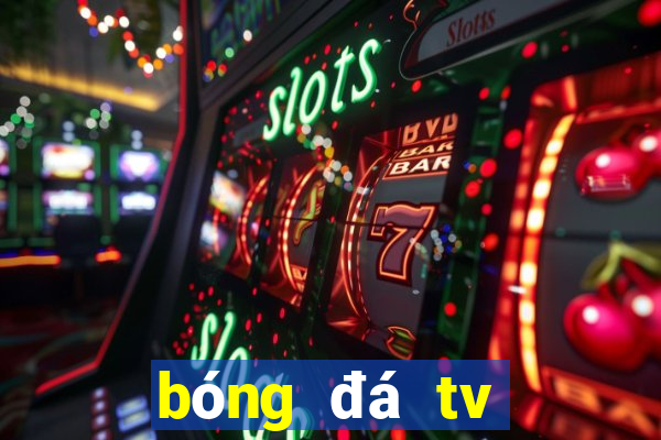 bóng đá tv trực tiếp