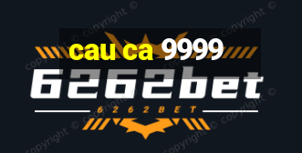 cau ca 9999