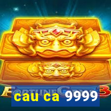 cau ca 9999