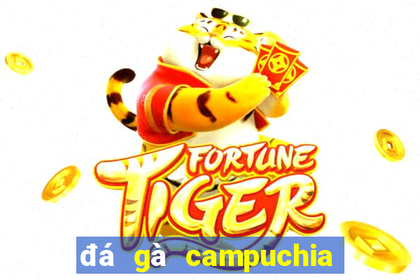 đá gà campuchia 22 4 2024