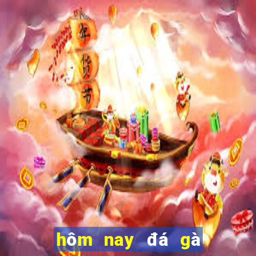 hôm nay đá gà màu gì ngon