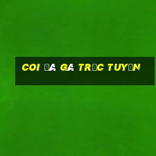 coi đá gà trực tuyến