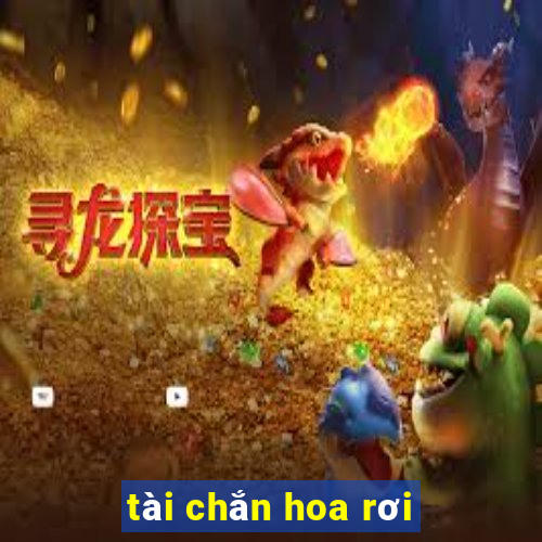 tài chắn hoa rơi