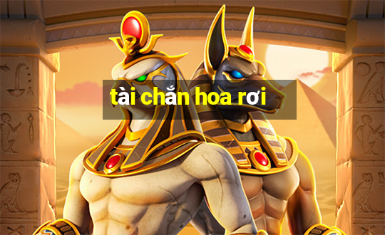 tài chắn hoa rơi