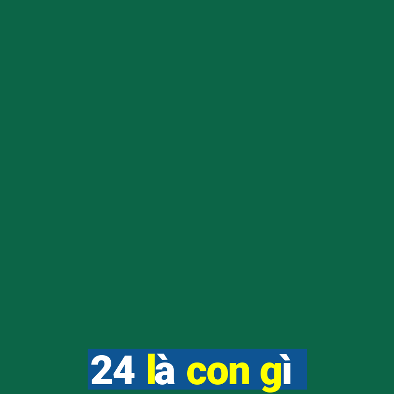 24 là con gì