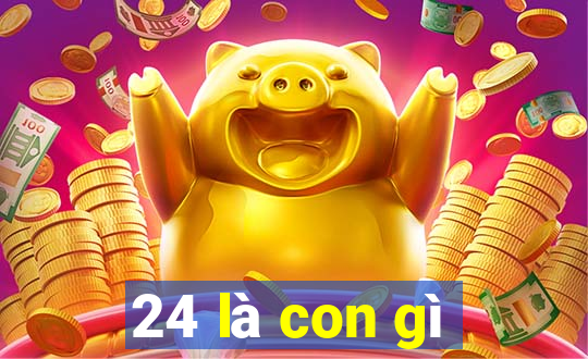 24 là con gì