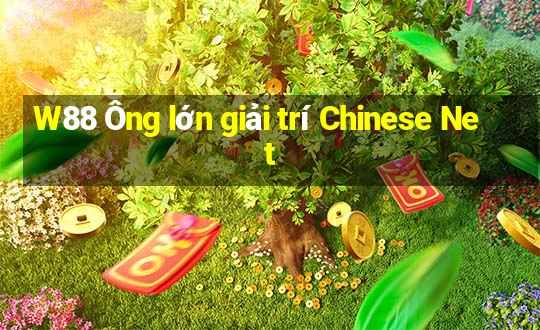 W88 Ông lớn giải trí Chinese Net