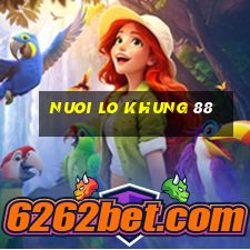 nuoi lo khung 88