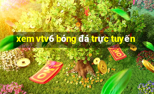 xem vtv6 bóng đá trực tuyến