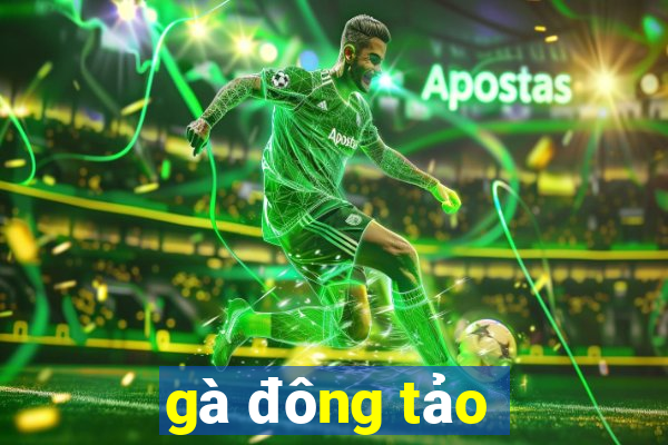 gà đông tảo