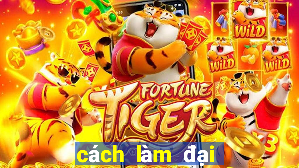 cách làm đại lý ku casino