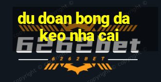 du doan bong da keo nha cai