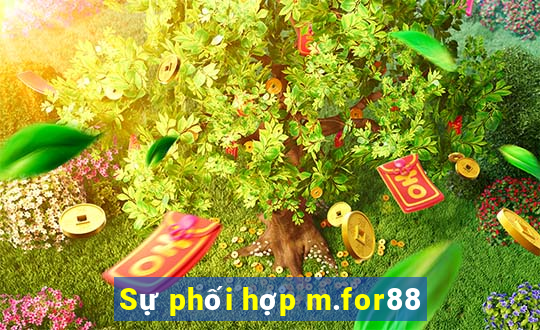 Sự phối hợp m.for88