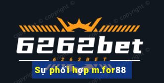 Sự phối hợp m.for88