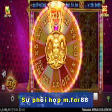 Sự phối hợp m.for88