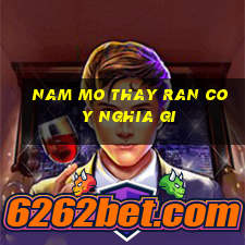 nam mo thay ran co y nghia gi