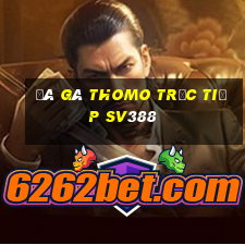 đá gà thomo trực tiếp sv388