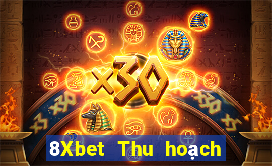 8Xbet Thu hoạch phòng game bài