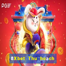 8Xbet Thu hoạch phòng game bài