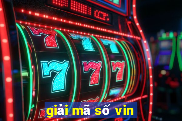 giải mã số vin