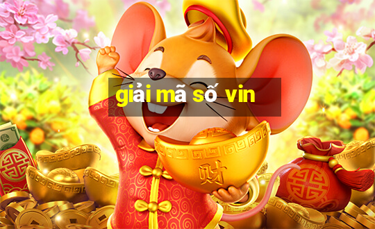 giải mã số vin