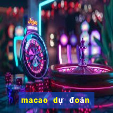 macao du doan bong da