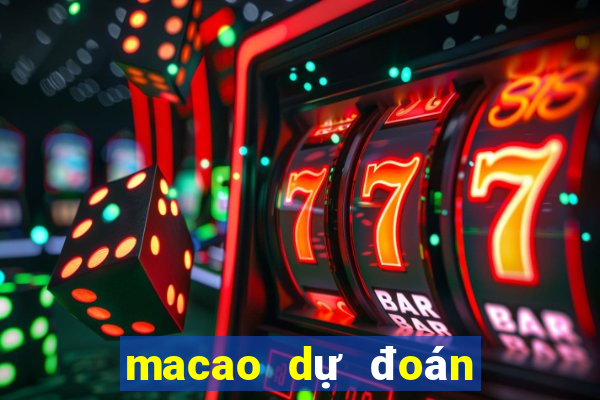 macao du doan bong da