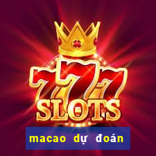 macao du doan bong da