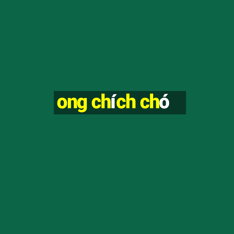 ong chích chó