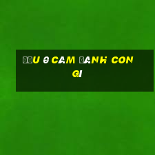 đầu 0 câm đánh con gì