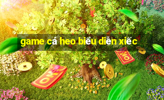 game cá heo biểu diễn xiếc