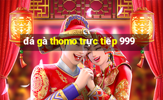 đá gà thomo trực tiếp 999