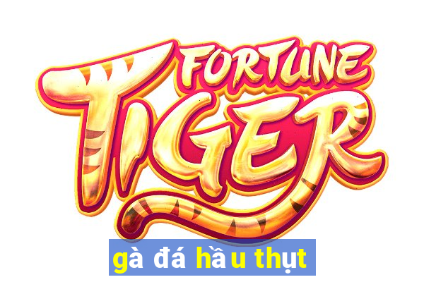 gà đá hầu thụt