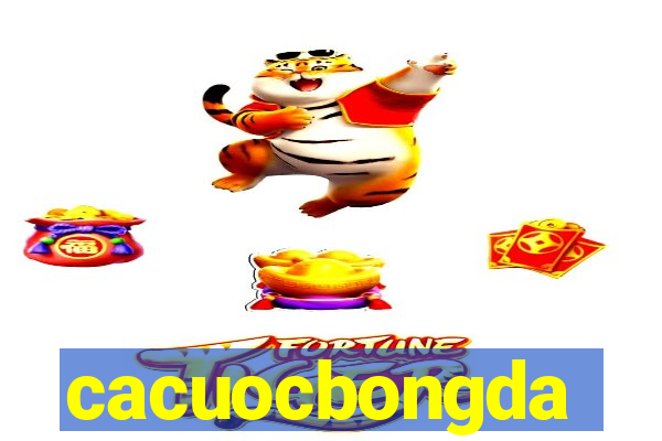 cacuocbongda