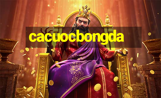 cacuocbongda