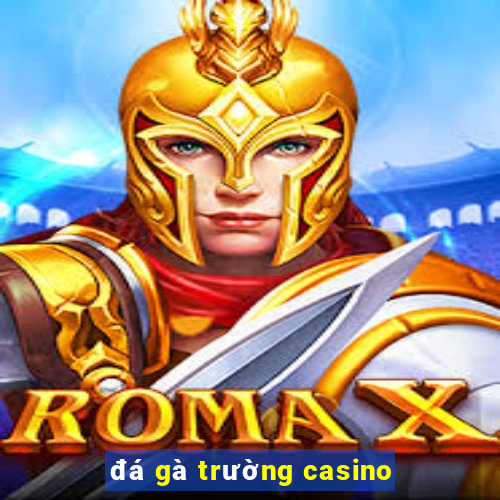 đá gà trường casino